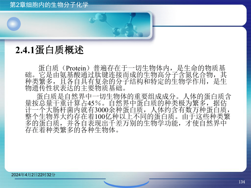 2.4蛋白质化学 课件(共65张PPT)- 《环境生物化学》同步教学（机工版·2020）