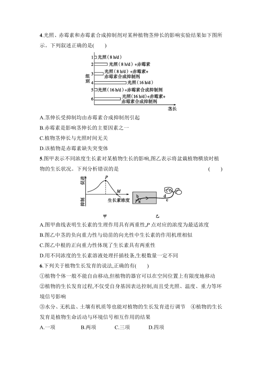 2021-2022学年高二上学期浙科版生物选择性必修1-5.3 植物对多种环境信号做出反应同步练习（Word版含答案带解析）