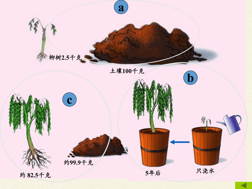 苏教版七年级生物上册 第六章 第一节 植物光合作用的发现课件(共20张PPT)