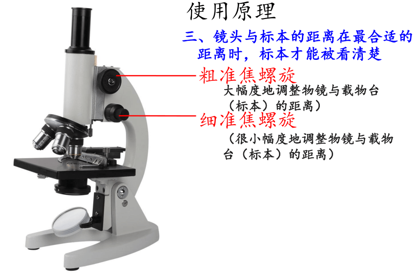 人教版七年级上册生物课件2.1.1练习使用显微镜-课件（43张PPT）