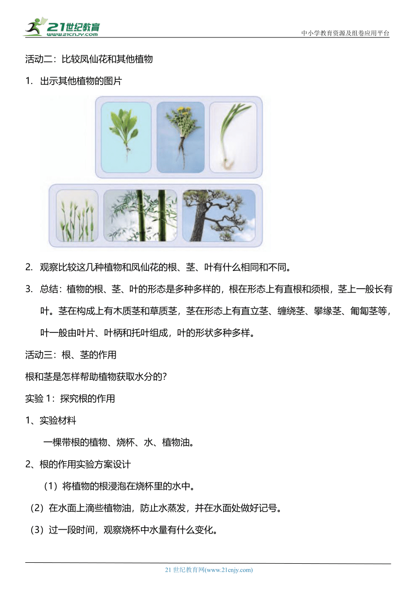 （核心素养目标）2.6 根茎叶  教案设计