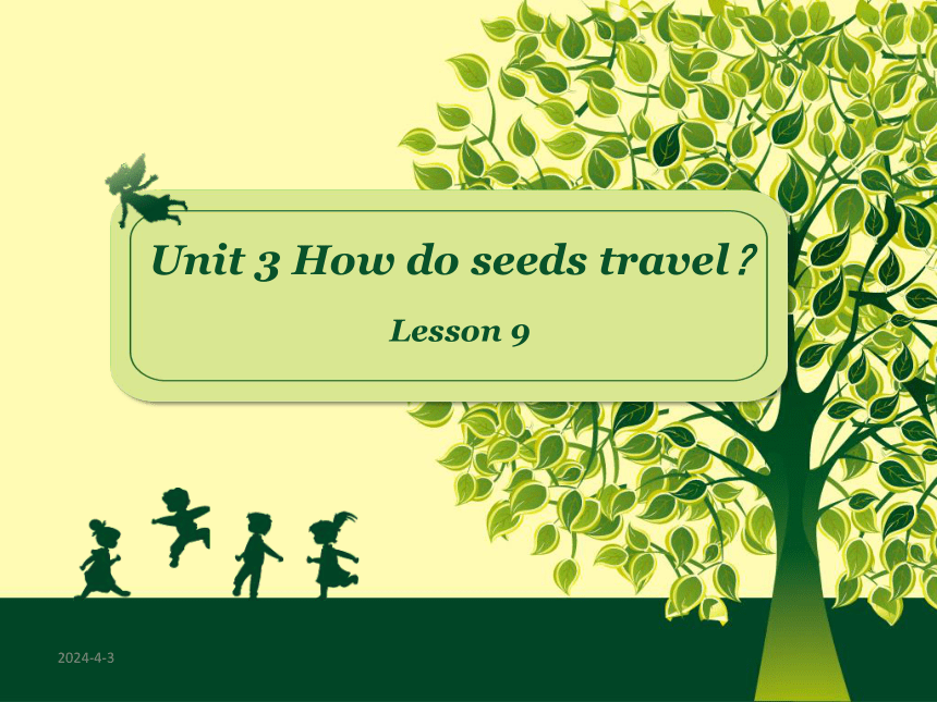 Unit 3 How do seeds travel? Lesson 9 课件(共25张PPT)