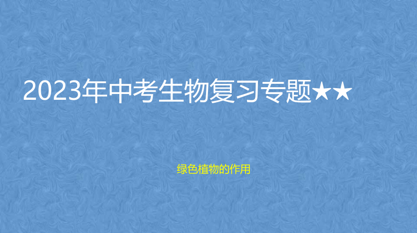 2023年中考生物复习专题★★　绿色植物的作用课件(共109张PPT)