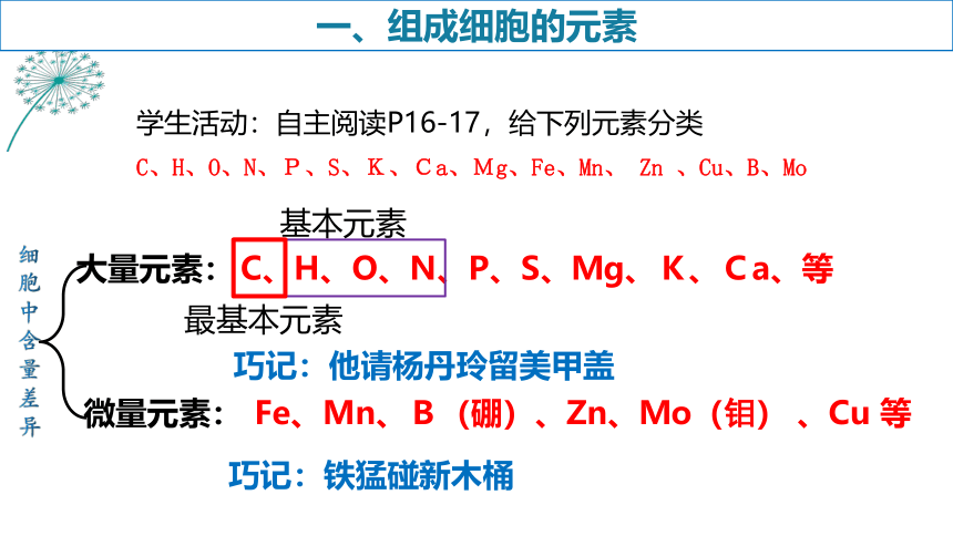 2.1细胞中的元素和化合物（2课时）(共25张PPT)