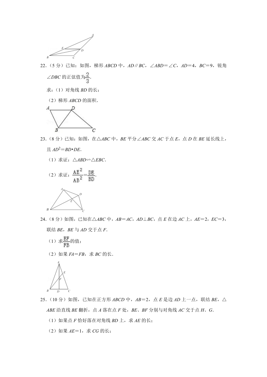 2021-2022学年上海市杨浦区九年级（上）期中数学试卷（Word版 含解析）