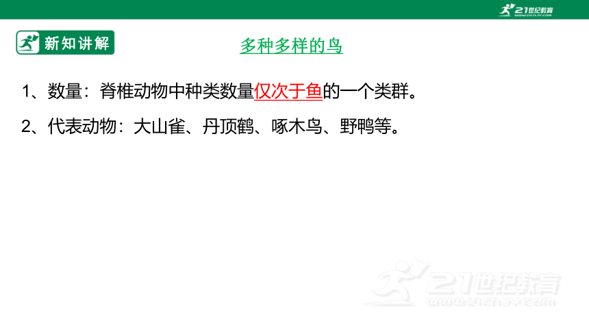 人教版5.1.6 鸟-2022-2023学年八年级生物上册 同步课件(共30张PPT)