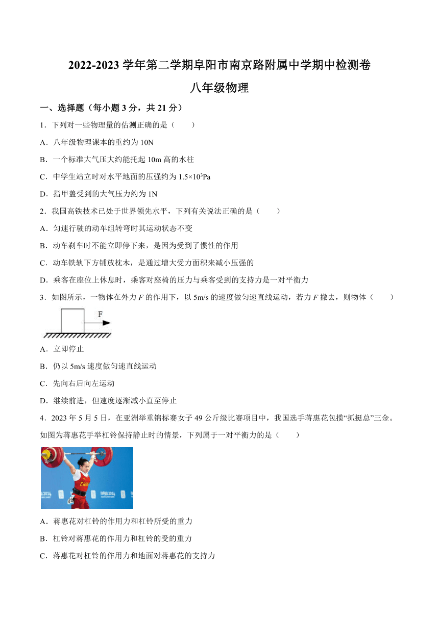 安徽省阜阳市南京路附属中学期中检测卷（含答案） 2023-2024学年人教版物理八年级下学期