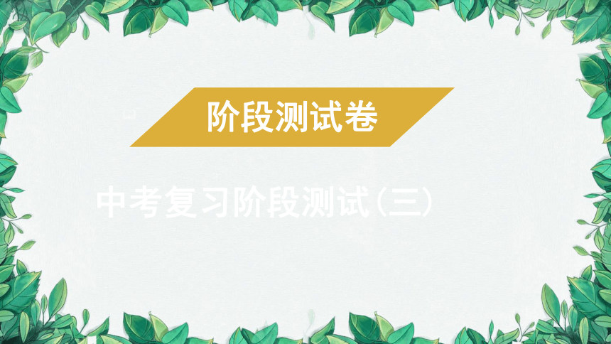 2023年中考物理复习 阶段测试(三)课件(共33张PPT)