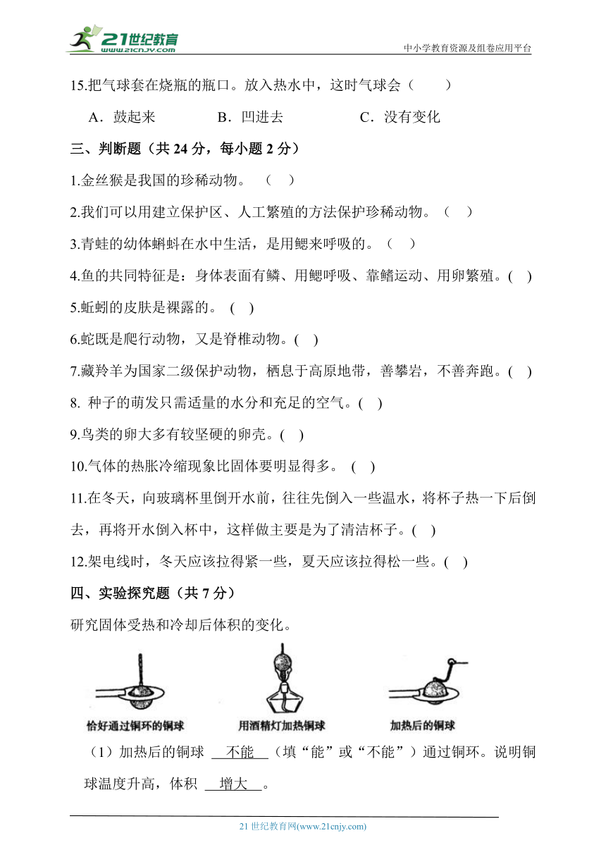 人教鄂教版四年级科学上册期中模拟试卷（含答案）