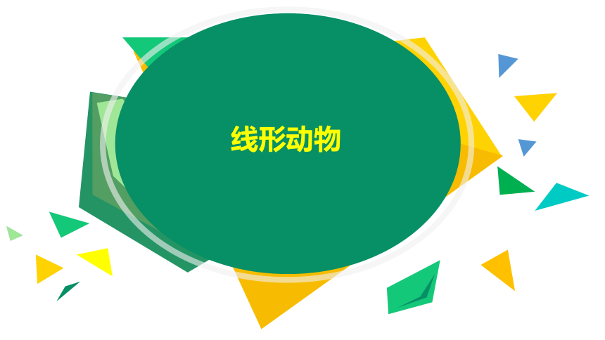 2021--2022学年人教版生物八年级上册5.1.2线形动物和环节动物课件(共28张PPT)