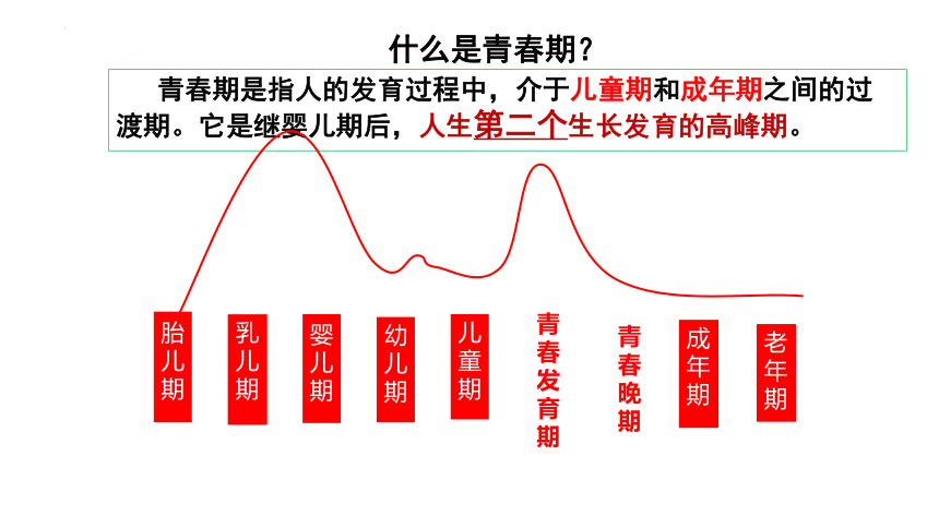 1.1悄悄变化的我 课件(共22张PPT)+内嵌视频-2023-2024学年统编版道德与法治七年级下册