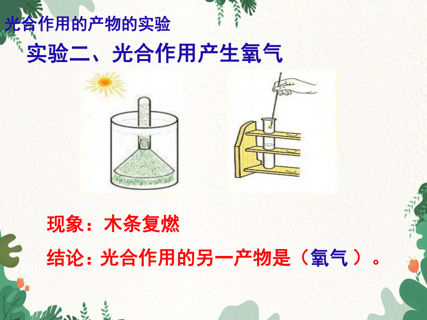 人教版生物七年级上册 第三单元 第五章绿色植物与生物圈中的碳-氧平衡复习课件(共22张PPT)