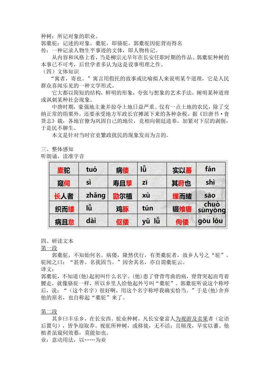11《种树郭橐驼传》教学设计  2022-2023学年统编版高中语文选择性必修下册