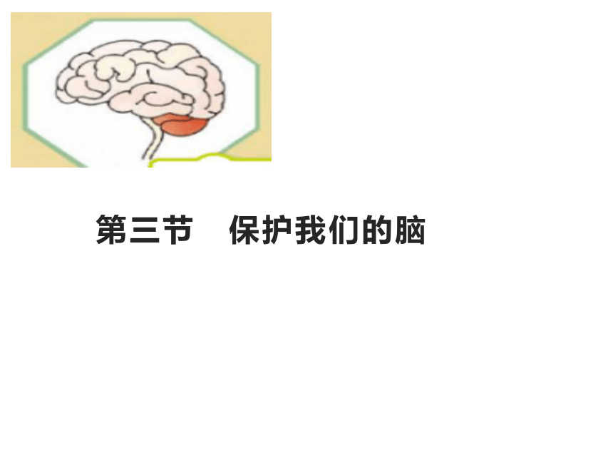 湘科版（2017秋）科学五年级上册 1.3保护我们的脑（课件14ppt）