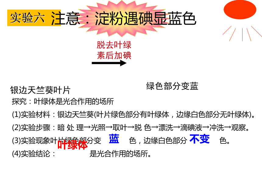 2021-2022学年人教版生物七年级上册3.5 绿色植物与生物圈中的碳—氧平衡（复习课）课件(共33张PPT)