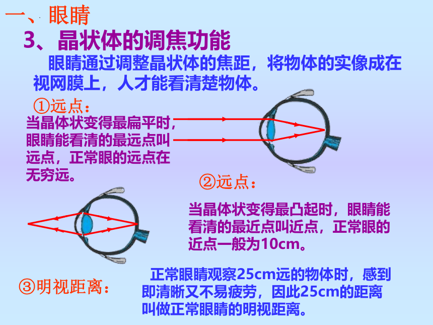 第六章第四节《眼睛和眼镜》课件2021-2022学年北师大版八年级物理下册(共21张PPT)