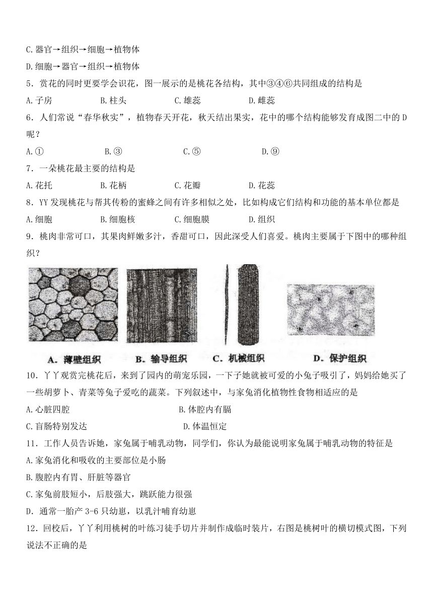 江苏省淮安市多校2023-2024学年七年级下学期4月期中生物试题（无答案）