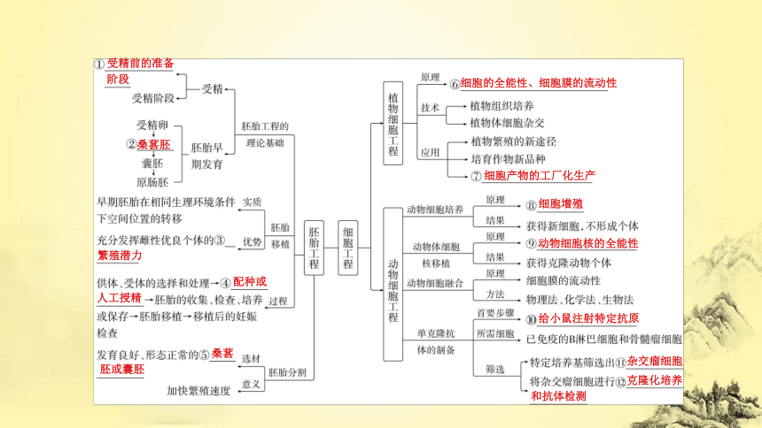 新人教生物二轮复习课件15 细胞工程(课件共62张PPT)