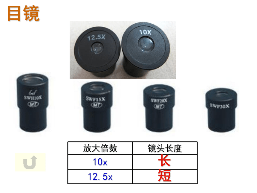 人教版高一生物必修1课件：第一章 显微镜的使用课件（共 51张PPT）