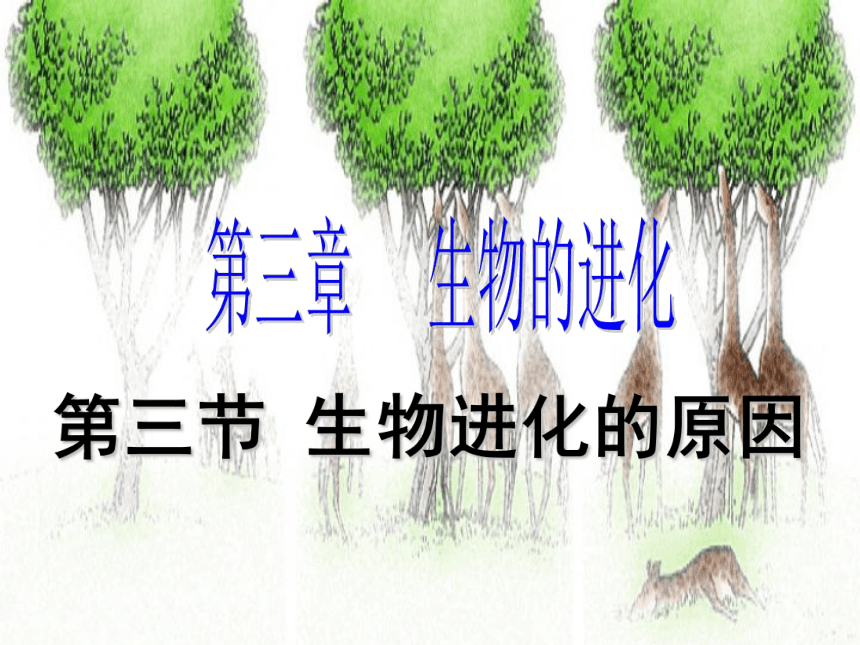 2021--2022学年人教版生物八年级下册7.3.3生物进化的原因课件(共43张PPT)