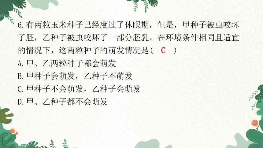 2023年广东省初中学业水平考试仿真试卷(二)习题课件(共41张PPT)