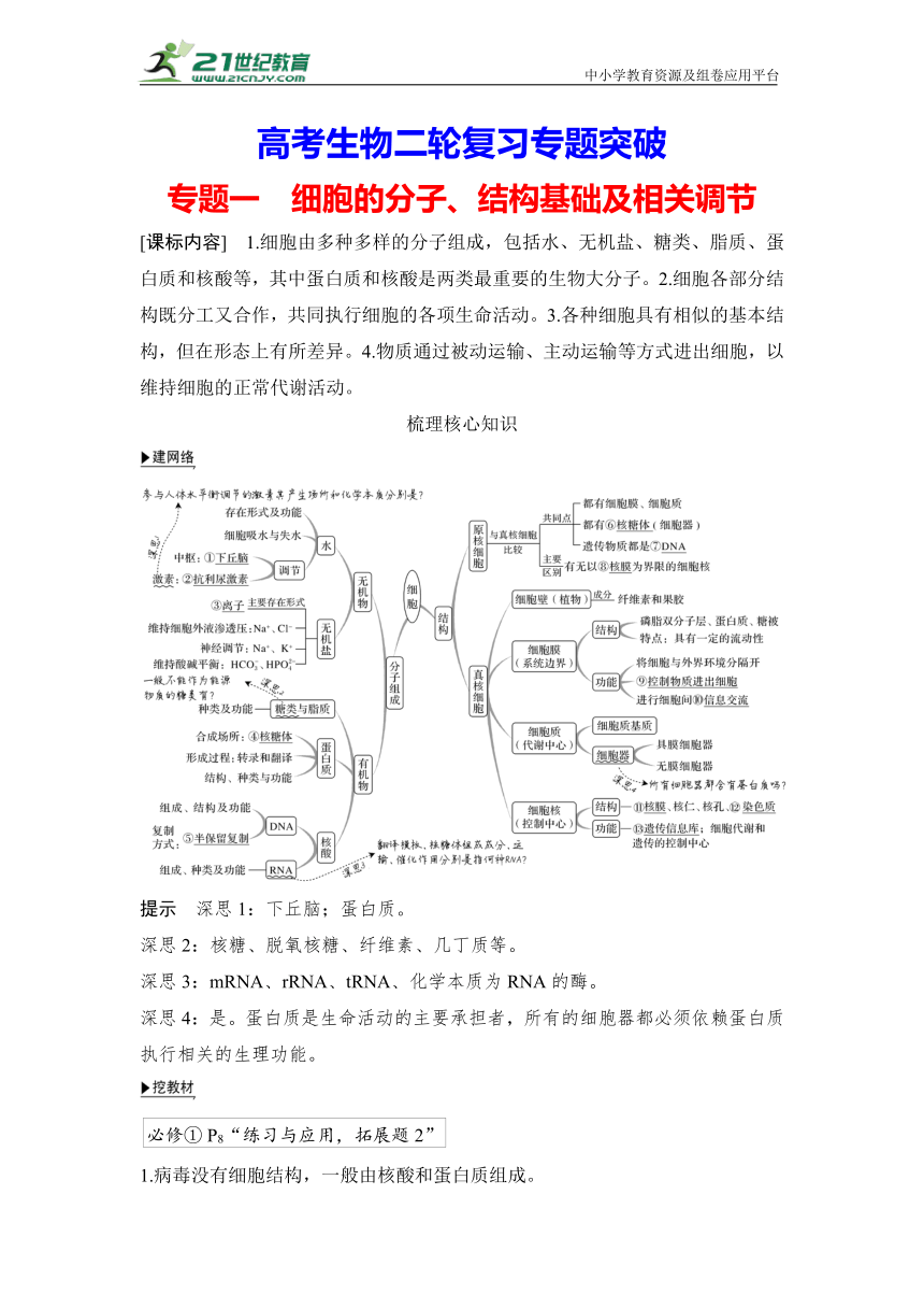 【高考生物二轮复习专题突破学案】专题1 细胞的分子、结构基础及相关调节（含答案）