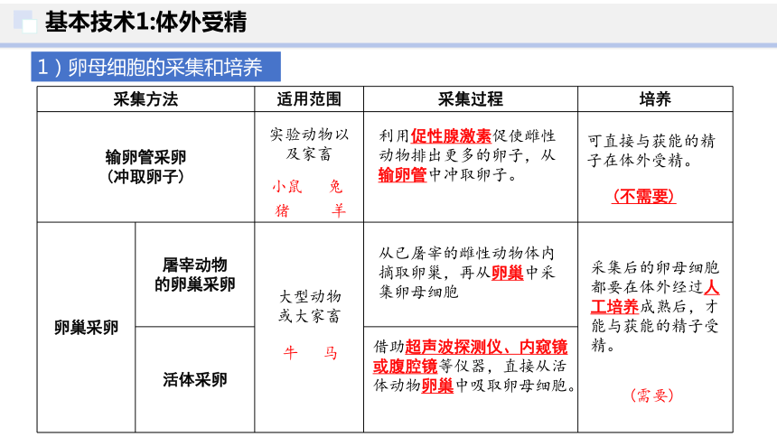 2.3 胚胎工程（第2课时）(共38张PPT)-2023-2024学年高二生物下学期（人教版2019选择性必修3）