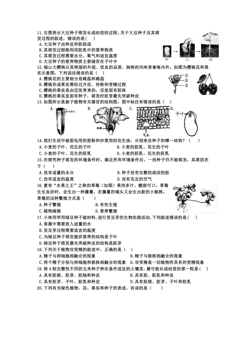 第19章 植物的生殖和发育  学情调研-阶段测试（word版无答案）