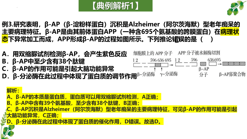 2024届高三二轮复习生物：蛋白质的相关计算课件（共21张PPT）