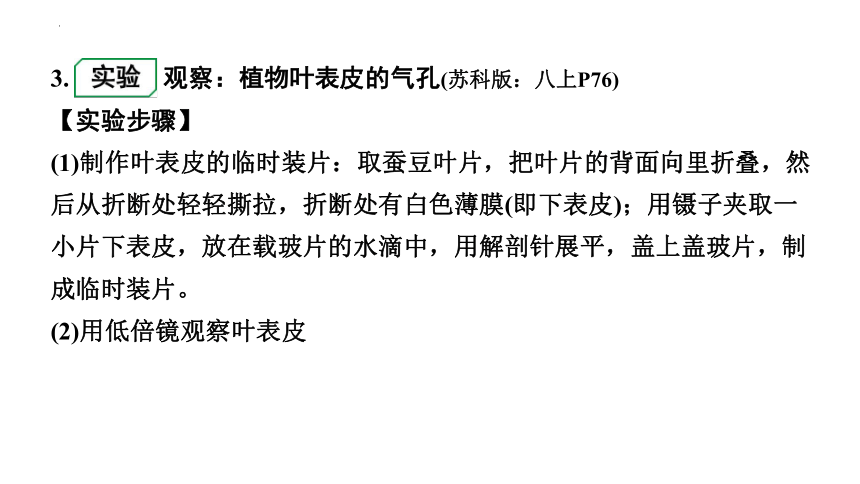 2024年江苏省徐州市中考生物二轮考点研究：第13讲生态系统的稳定课件(共60张PPT)