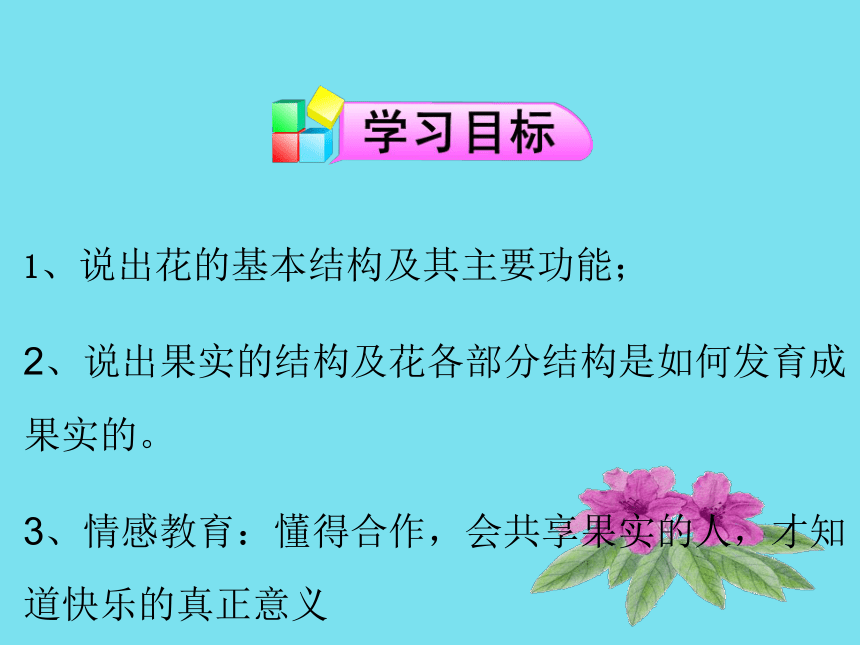 苏教版七上生物 5.5 植物的开花和结果 课件（19张PPT）