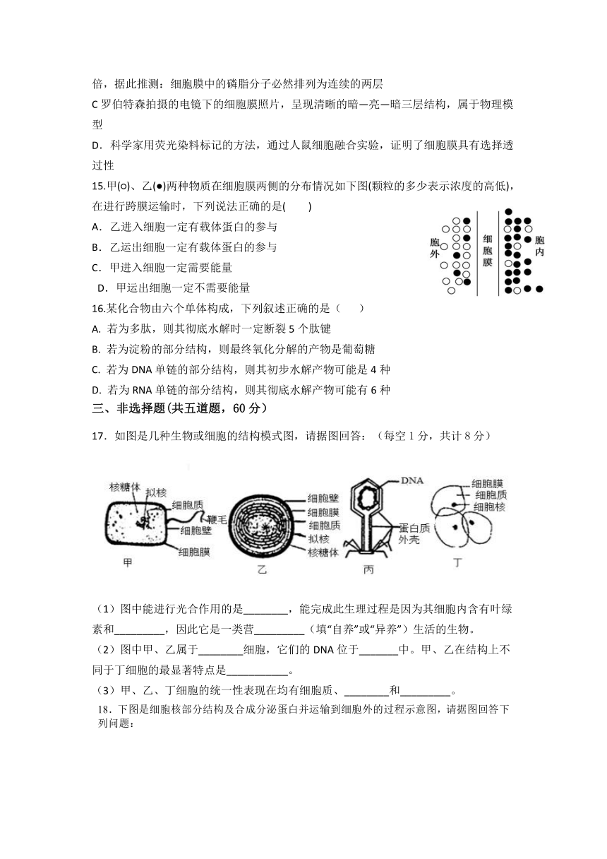 湖南省宁乡市四校2021-2022学年高一上学期12月联考生物试题（Word版含答案）