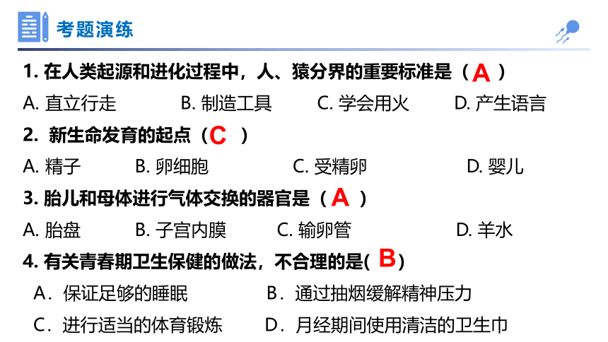 人教版第四单元第1-3章复习  七下生物(共26张PPT)