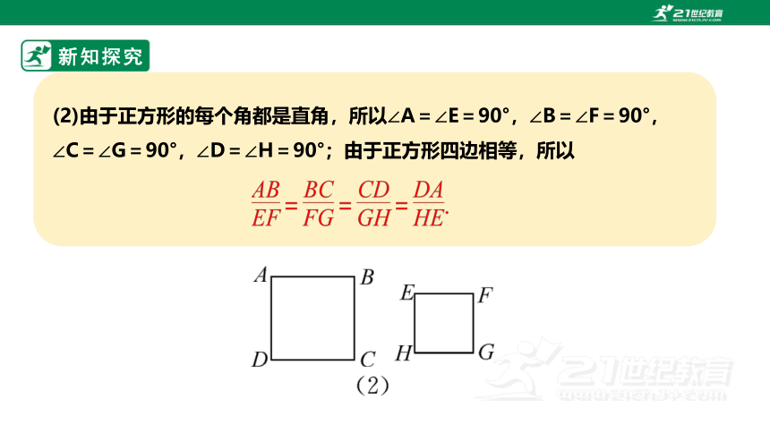 4.6相似多边形 课件（共26张PPT）