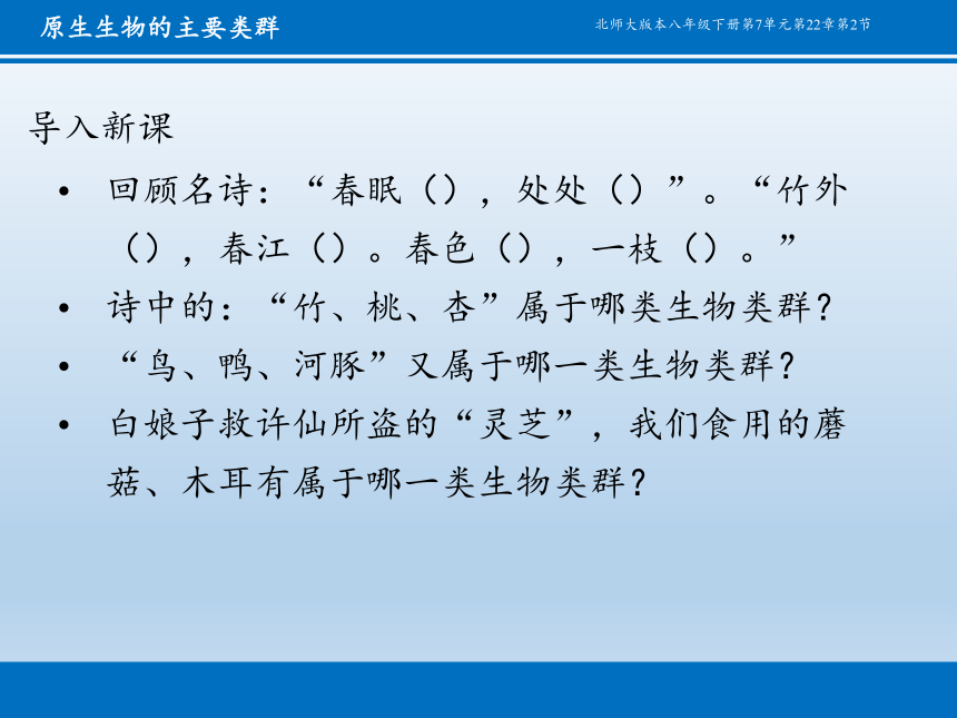 北师大版生物八年级下册 7.22.2 原生生物的主要类群 课件(共17张PPT)