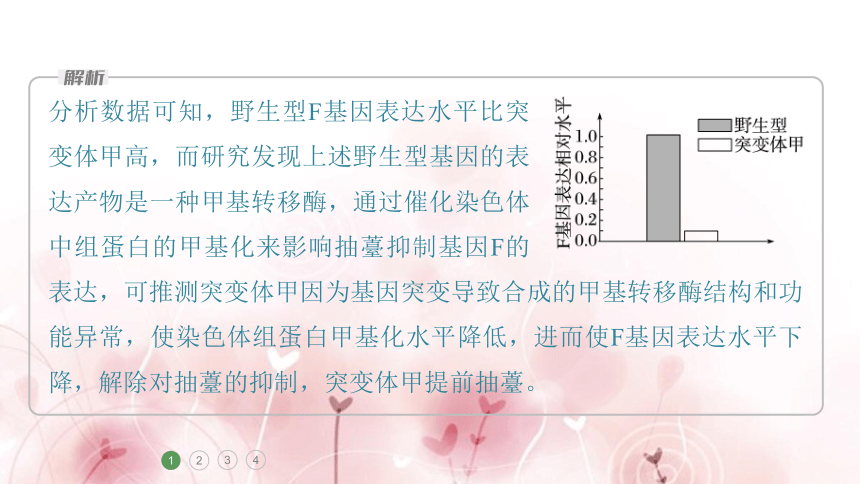 高三生物重难大题集训(2)　变异与遗传的综合考查(课件共33张PPT)