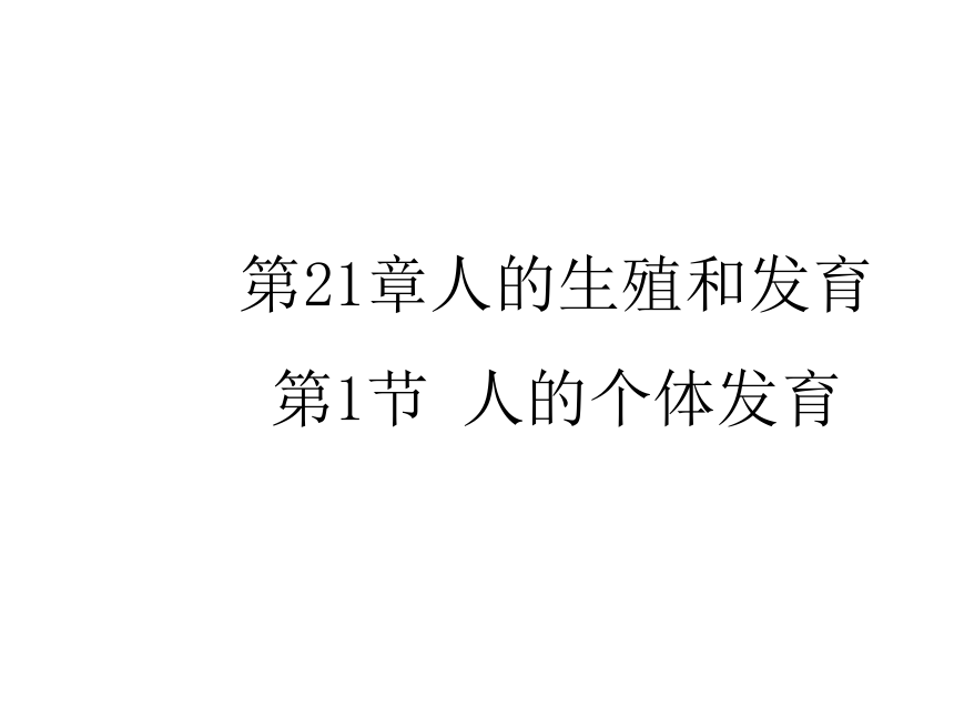 21.2 人的个体发育课件(共28张PPT)