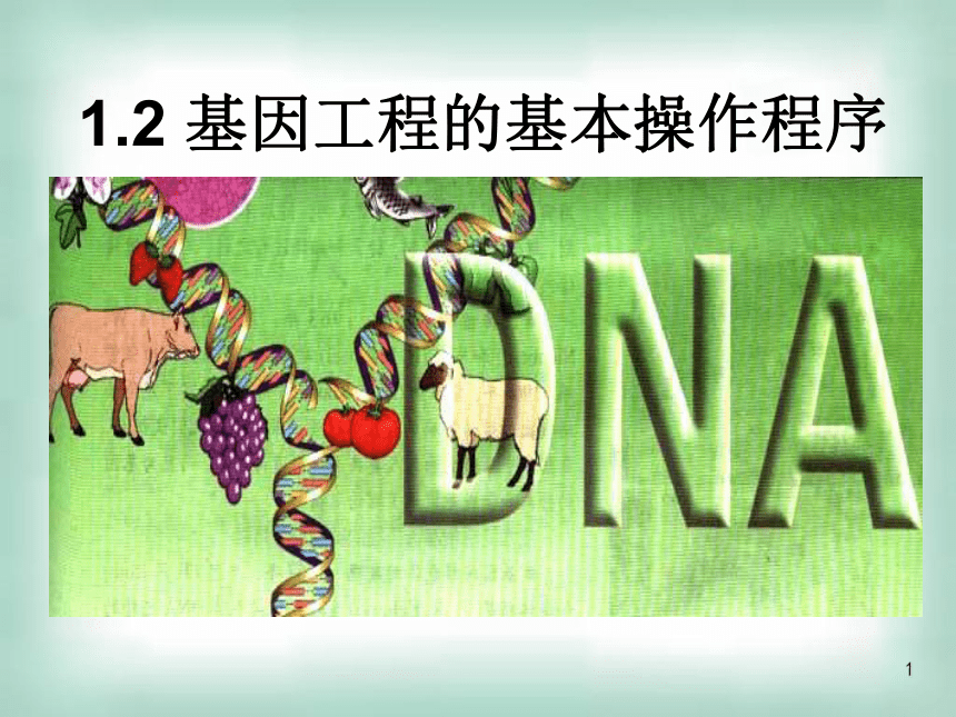 2020-2021学年高二下学期生物人教版选修三1.2基因工程的基本操作程序课件（32张ppt）