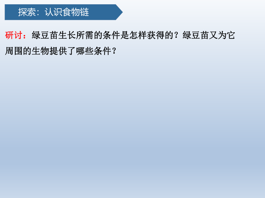 教科科学五下1.6食物链和食物网 课件(共24张PPT)