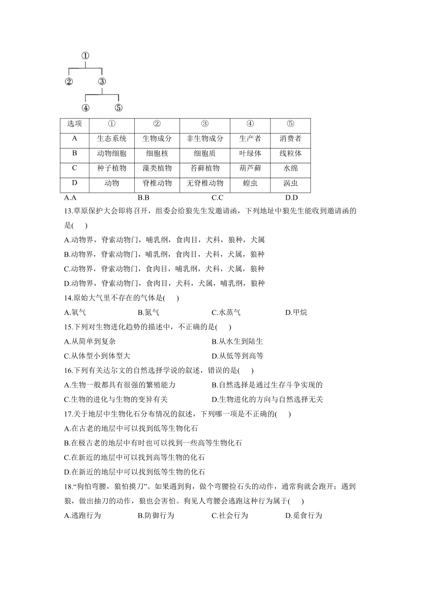 2021-2022学年苏教版生物八年级上册期末复习测评卷A卷（word版含解析）