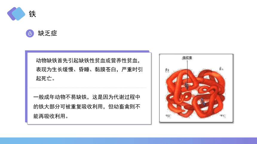 1.6 矿物质的营养作用 铁铜锌 课件(共18张PPT)《畜禽营养与饲料》同步教学（高教版第二版）