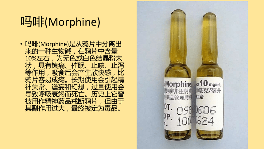 初中班会 珍爱生命 远离毒品 班会 课件 (22张PPT)