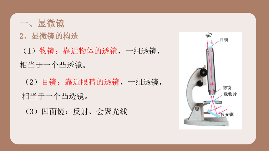 5.5 显微镜和望远镜课件 2022-2023学年人教版物理八年级上册(共24张PPT)