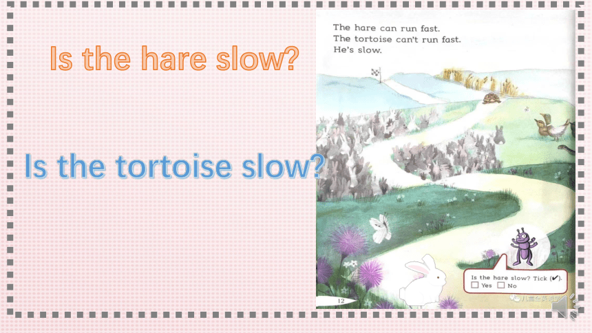 Unit 2 In the library  The Hare and the Tortoise 课件(共42张PPT)