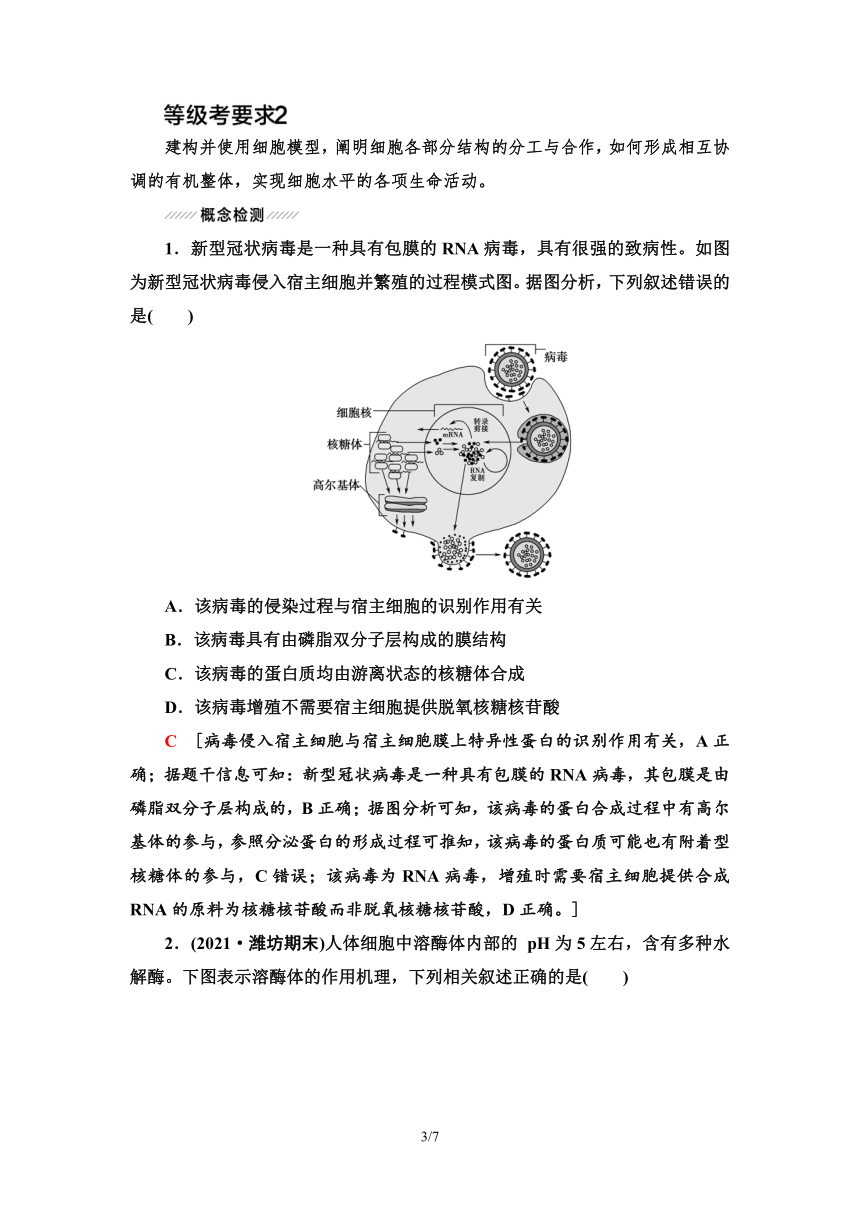 【二轮学案】高考生物大概念升华课1　细胞是生物体结构与生命活动的基本单位（含答案）