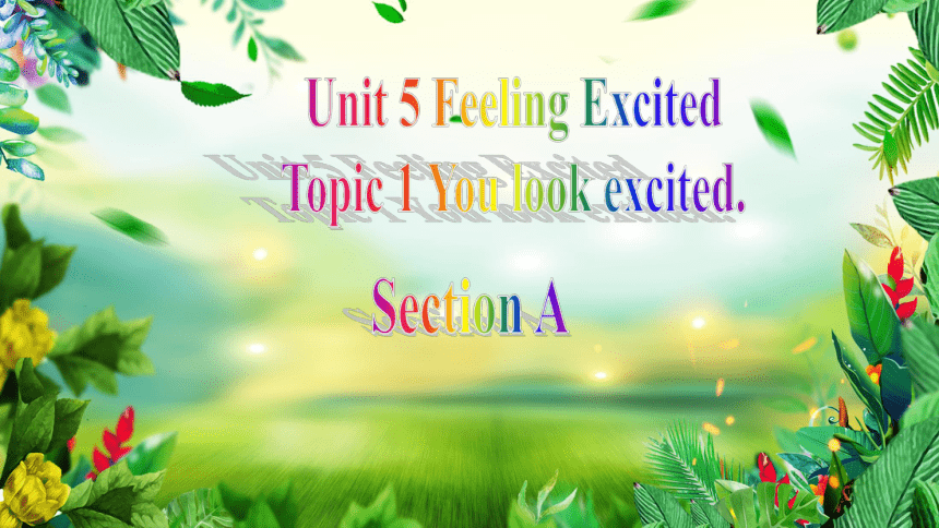 仁爱科普版八年级下册Unit  5  Feeling excitedTopic 1Section A 课件(共10张PPT，无音频)