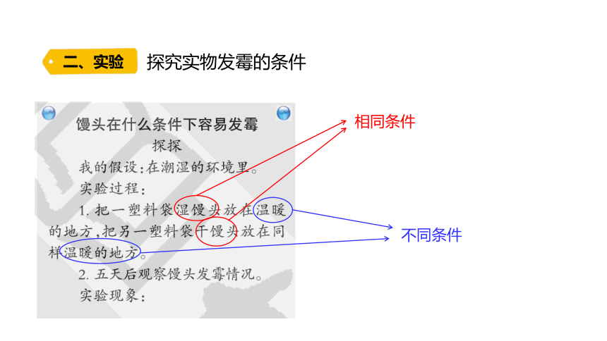 1.3 发霉的馒头（含练习）课件