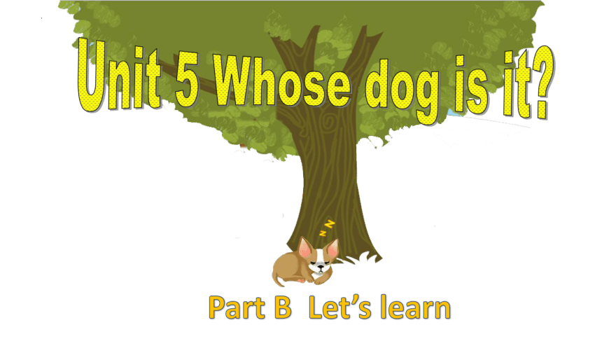 Unit 5 Whose dog is it? PB Let’s learn 课件(共47张PPT)