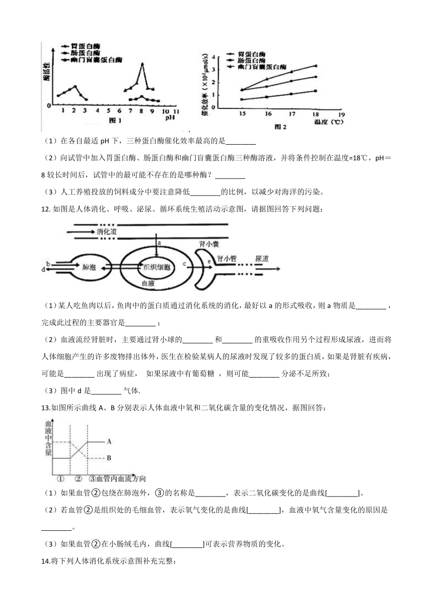 2021年初中（浙教版）科学二轮复习专题06：呼吸和消化 (含解析)