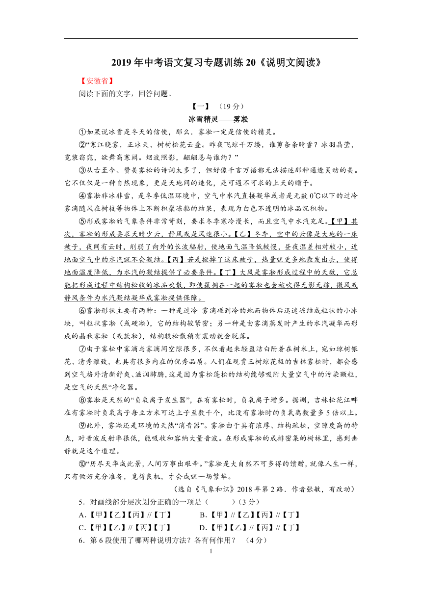 中考语文复习专题训练20《说明文阅读》（有答案）